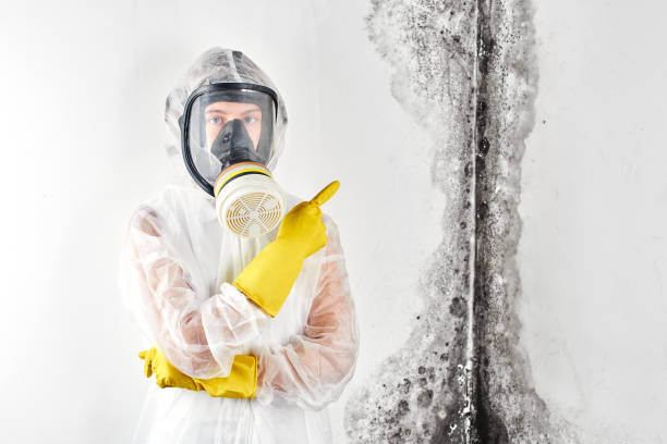 Hauser, ID Mold Removal Company